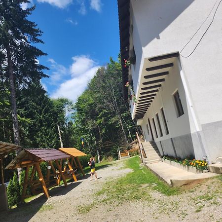 Cabana Valea Bradului Nucsoara  ภายนอก รูปภาพ
